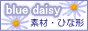 blue daisy*`fނ̃K[f`*